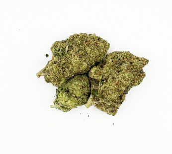 Sativa Mango Pink Lemonade