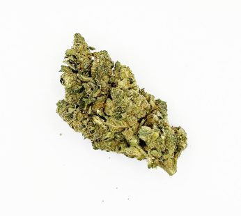 Hybrid OG Triploid