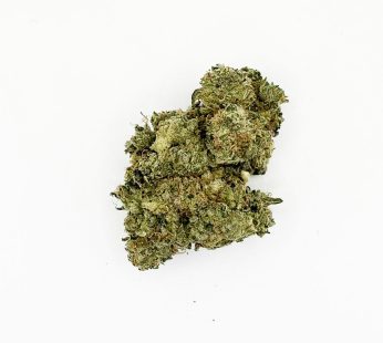 Hybrid Apple Fritter