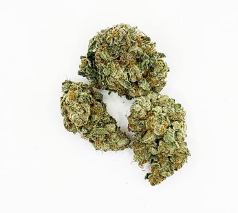 Indica Cadillac Rainbow