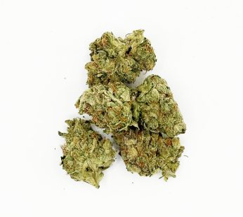 Sativa Super Sour Diesel