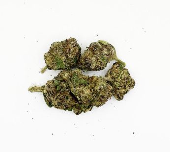 Sativa Tropical Burst