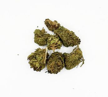 Indica Northern Lights