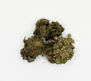 Sativa Berry Cream Puff